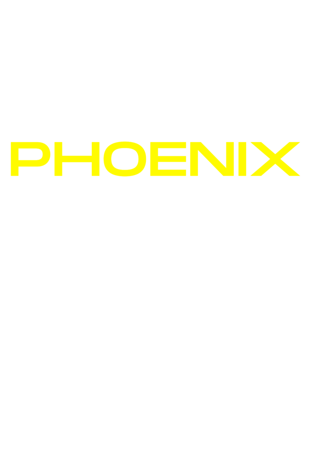 Phoenix Unisex Oversized T-Shirt