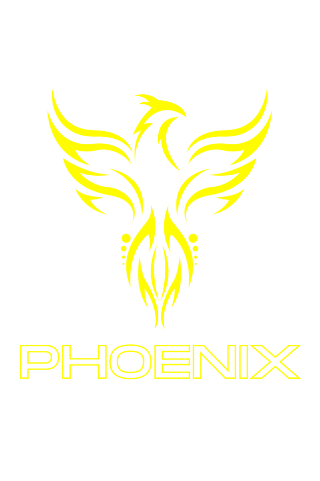 Phoenix Unisex Oversized T-Shirt